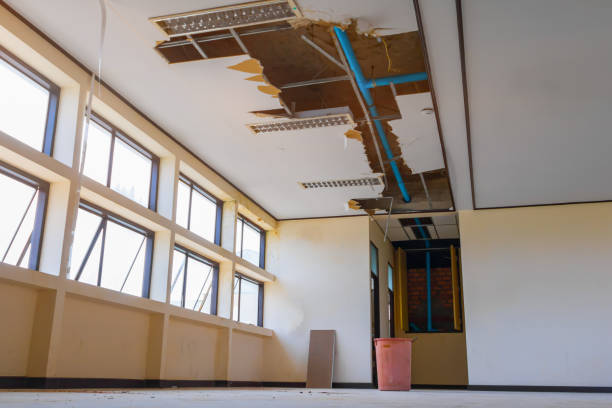 Best Water damage restoration near me  in Ina, IL