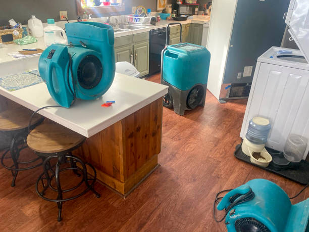 Best Water damage contractors near me  in Ina, IL