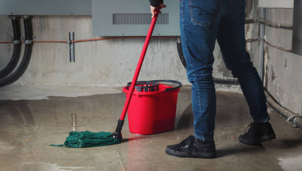 Best Flood restoration services  in Ina, IL
