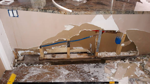 Best Professional water damage repair  in Ina, IL