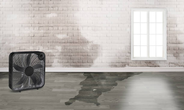 Best Residential water damage restoration  in Ina, IL