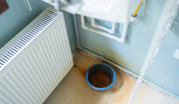 Best Flood damage cleanup  in Ina, IL