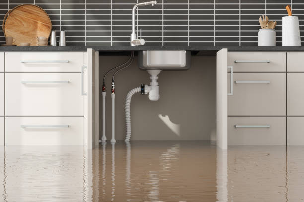  Ina, IL Water damage restoration Pros